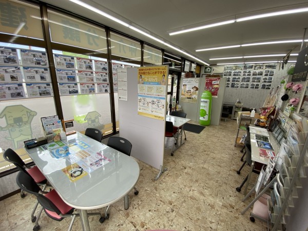 センチュリー21は誰よりもあなたの事を考えます